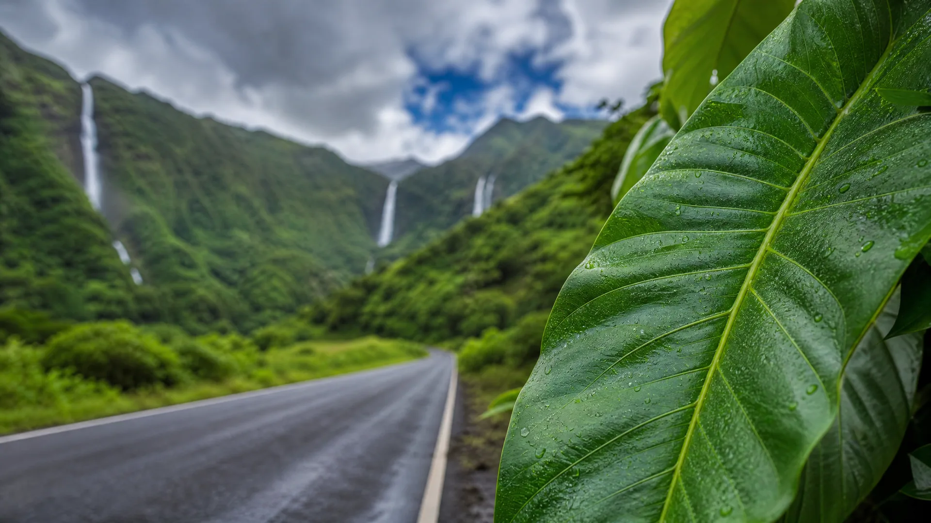 A wet paved road with a yellow center line curves through a green valley with waterfalls on steep forested slopes under cloudy skies, with a large water-droplet-covered leaf in sharp focus in the foreground.