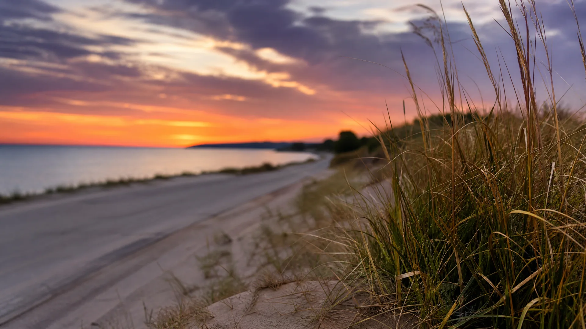A sandy shoreline road curves along a calm body of water at sunset, with tall dune grasses in sharp focus in the right foreground and orange and purple clouds above.